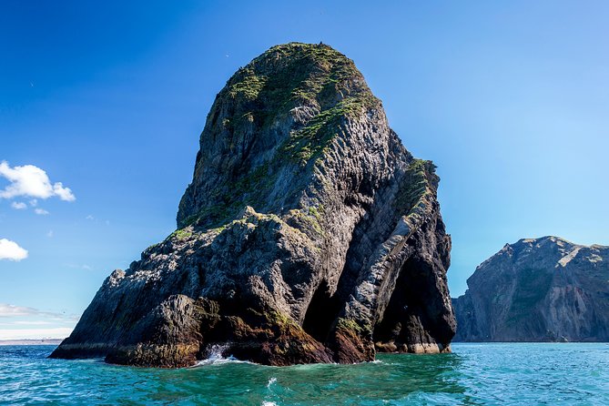 1-Hour Small Group Sightseeing Boat Tour in Vestmannaeyjar - What you actually do on the water during the Ribsafari