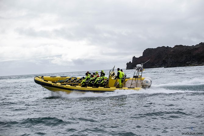 1-Hour Small Group Sightseeing Boat Tour in Vestmannaeyjar - Clothing and safety basics that make this feel easy for most people