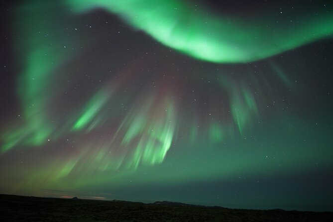 #1 Northern Lights Tour In Iceland from Reykjavik with PRO photos - Warmth and Treats: Hot Chocolate, Cinnamon Rolls, and Blankets in the Cold