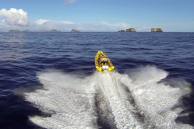 2 hour Round Trip in Vestmannaeyjar on a RIB Boat - Quick Takeaways Before You Book