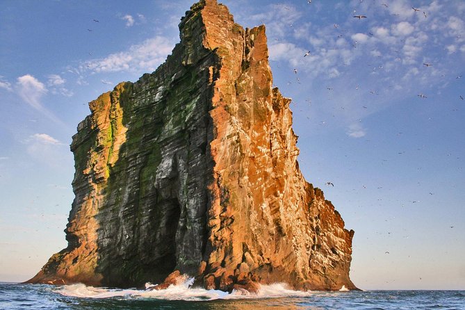 2 hour Round Trip in Vestmannaeyjar on a RIB Boat - Why This RIB Ride in Vestmannaeyjar Feels Different