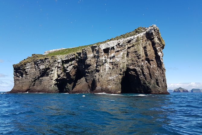 2 hour Round Trip in Vestmannaeyjar on a RIB Boat - Group Size, Energy, and What a Max of 12 People Changes