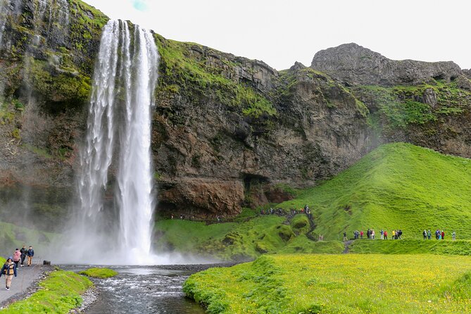 6 Day Iceland Ring Road Highlights Tour With Accommodation - Day 5: Akureyri Whale Watching, Hvíítserkur, and Kolugljúfur
