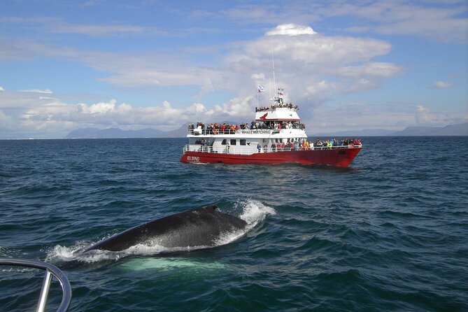6 Day Iceland Ring Road Highlights Tour With Accommodation - Hotels, Breakfast, WiFi, and a Small-Group Pace That Helps