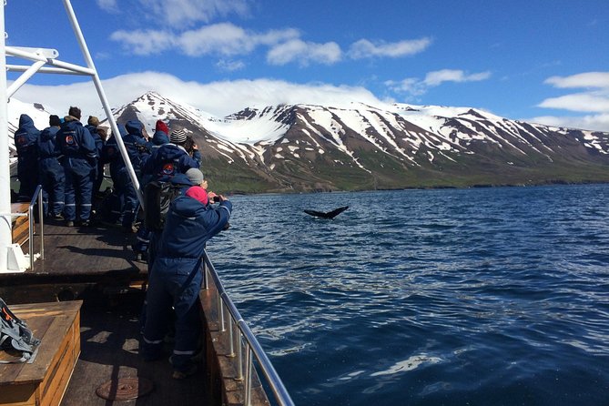 7-Day Complete Iceland: South Coast, Golden Circle, Akureyri & Snaefellsnes - Arnarstapi, Kirkjufell, Deildartunguhver, and the Final Reykjavik Return