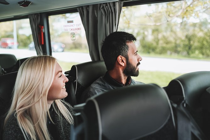 Airport Transfer in Iceland from Reykjavik City to Keflavik Airport One Way - Luggage, group size, and how to plan like a pro