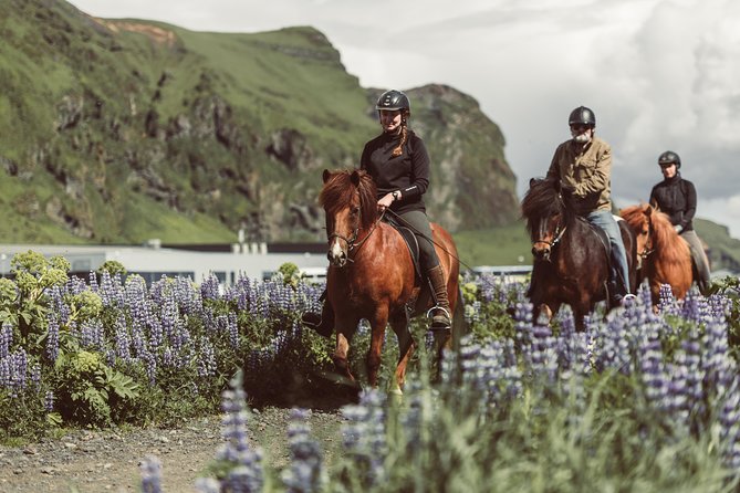 Black Sand Beach Horse Riding Tour from Vik - Entering the world of Víkurfjara, the black sand you ride on