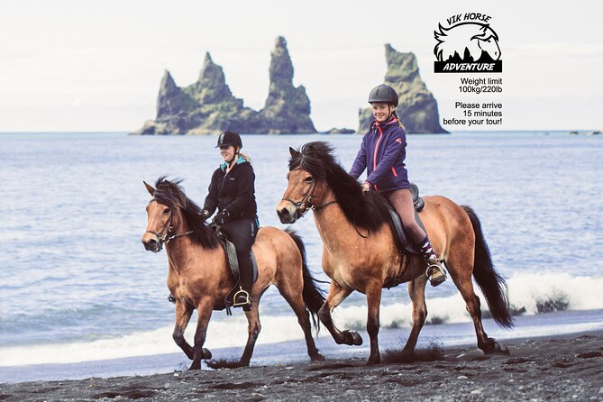 Black Sand Beach Horse Riding Tour from Vik - The one-hour flow, stable check-in to beach return