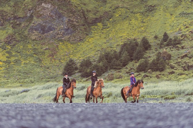 Black Sand Beach Horse Riding Tour from Vik - Who should book this black sand beach horseback ride