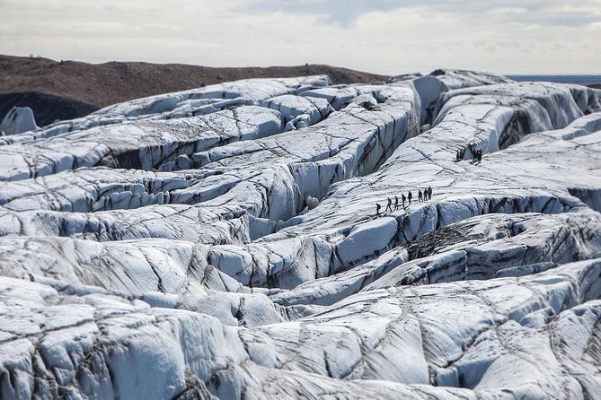 Blue Ice Discovery – Guided Glacier Hike from Skaftafell - Timing, photo stops, and choosing a departure time