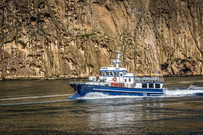 Boat Tour in Vestmannaeyjar - Key things I’d watch for on this rib safari