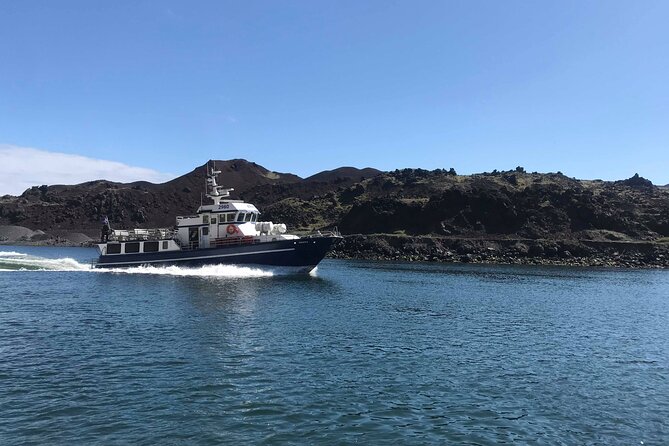 Boat Tour in Vestmannaeyjar - Price, timing, and what $114.65 gets you