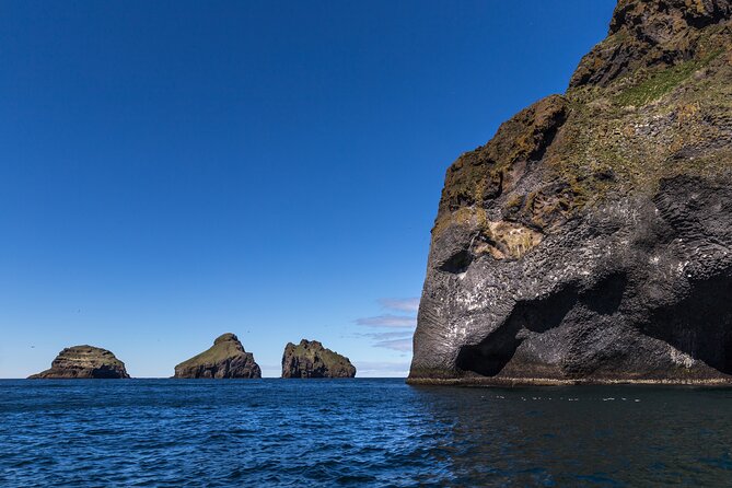 Boat Tour in Vestmannaeyjar - Puffins, seabirds, and the hard truth about photo distance