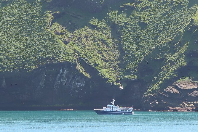Boat Tour in Vestmannaeyjar - Orcas and wildlife spotting, with a good plan for your attention