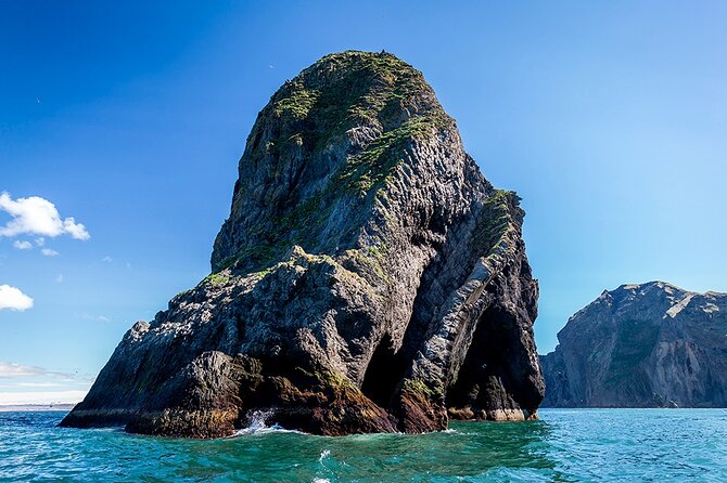 Boat Tour in Vestmannaeyjar - Tangagata 7, English crew time, and what group size means for you