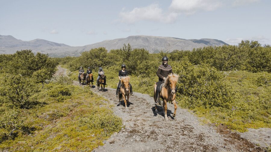Borgarnes: Horseback Riding Tour with Prep Lesson - Key highlights you will feel from the moment you arrive