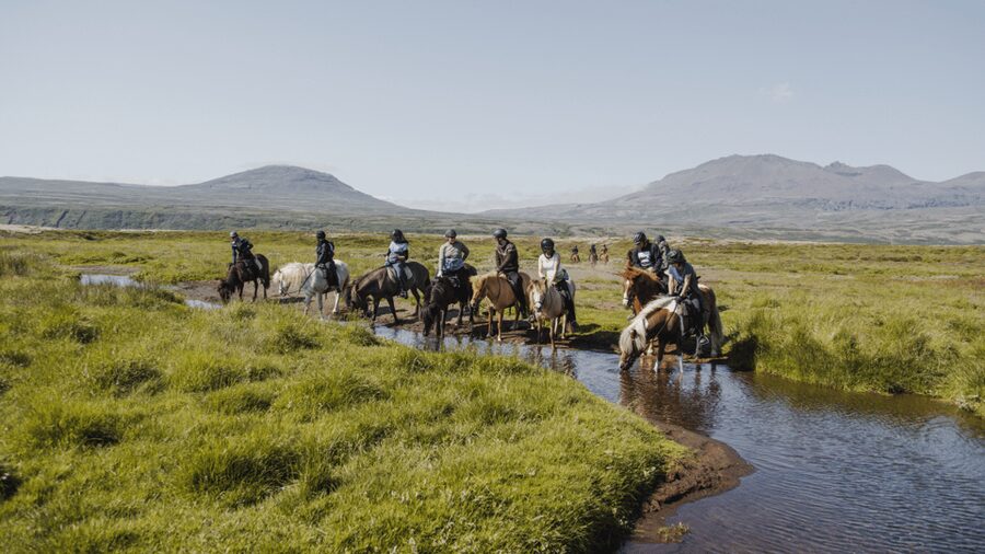 Borgarnes: Horseback Riding Tour with Prep Lesson - Hestaland near Borgarnes: why this starting point is practical