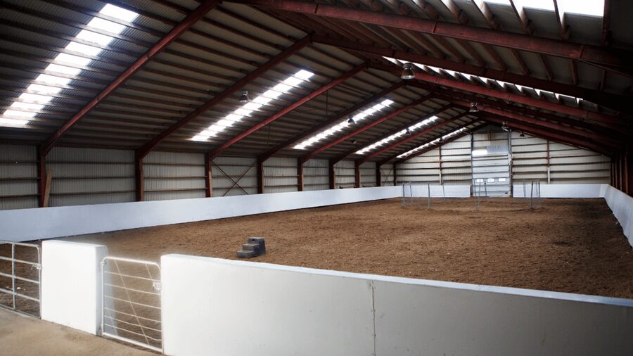 Borgarnes: Horseback Riding Tour with Prep Lesson - Group tour vs private tour: when small size matters