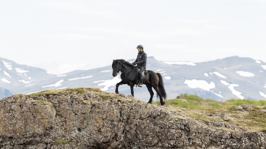 Borgarnes: Horseback Riding Tour with Prep Lesson - Getting the most from your ride: small moves that help a lot