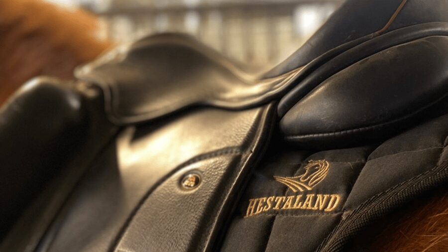 Borgarnes: Horseback Riding Tour with Prep Lesson - The indoor arena lesson: your confidence insurance