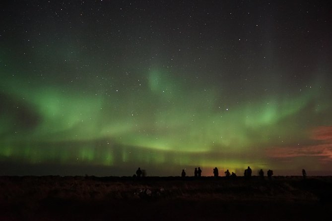 Chasing Aurora Borealis with Warmth and Treats in Premium Tour! - Should You Book This Northern Lights Minibus Tour?