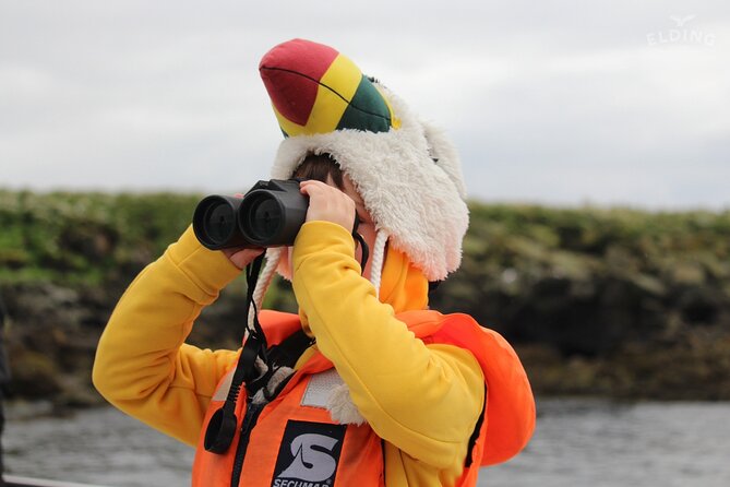 Classic Puffin Watching Cruise from Downtown Reykjavík - Photography tips that actually help with fast birds at sea