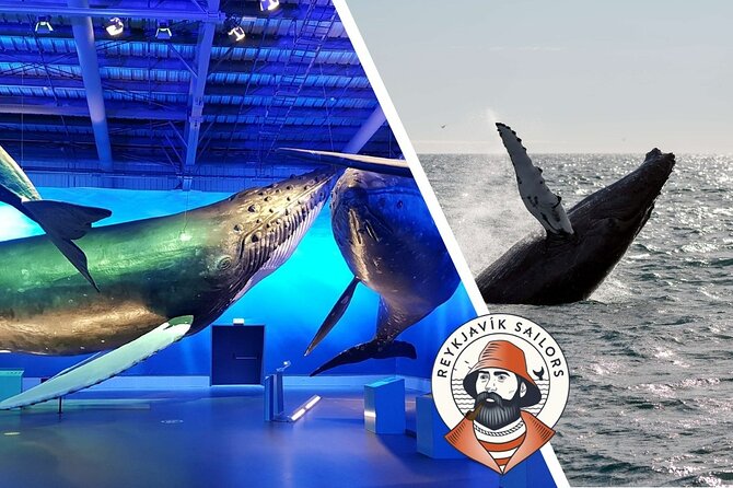 Deluxe Whale Watching and Whales of Iceland Exhibition Combo from Reykjavik - What it feels like onboard: comfort, learning, and real ocean unpredictability