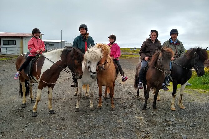Experience Countryside of Iceland by Horseback Riding - Terrain highlights around Þorlákshöfn, and what you might see