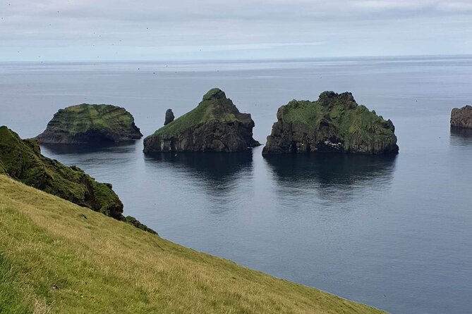 Eyjascooter volcano tour in Westman Island - Puffins, timing, and why the guide matters more than you think