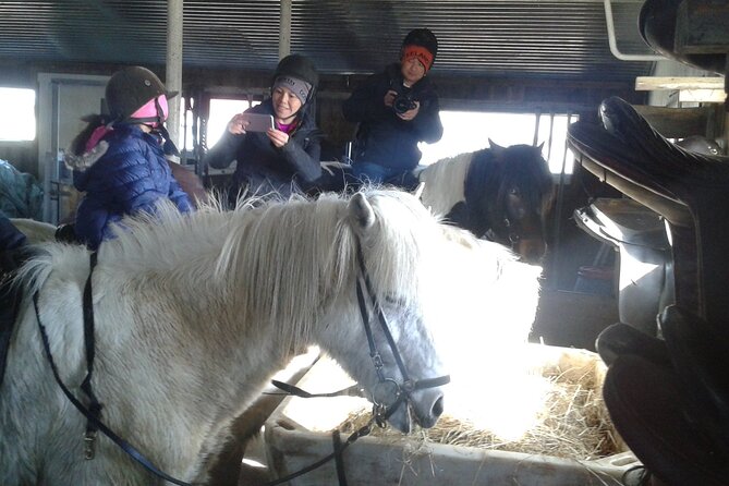 Family Horse Riding Tour in Thorlakshofn - Key things to know before you saddle up