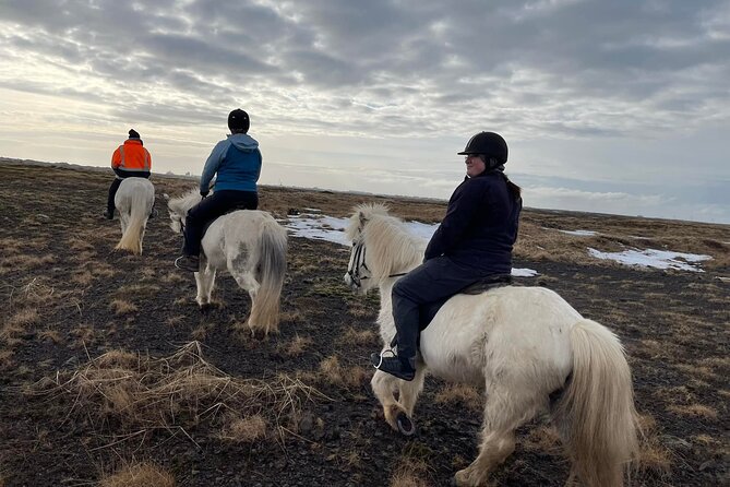 Family Horse Riding Tour in Thorlakshofn - Family-friendly, but not kid-simple: who should book this tour
