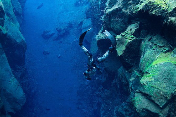 Freedive Silfra Half Day Tour - Quick take on Silfra breath-hold in Thingvellir