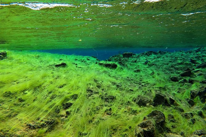 Freedive Silfra Half Day Tour - Why Silfra in Thingvellir is such a special setting