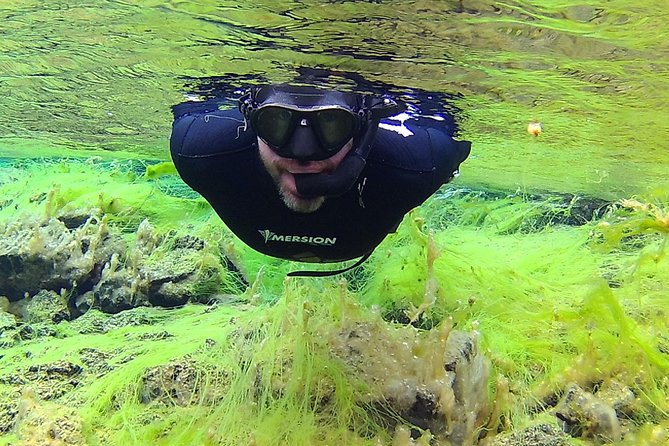 Freedive Silfra Half Day Tour - Life in the water: guide support that changes everything