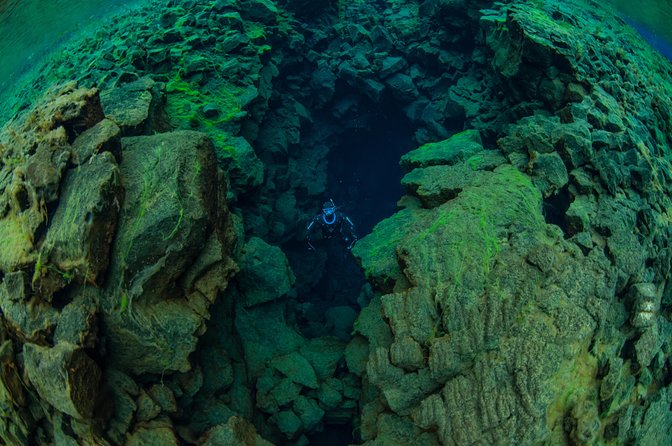 Freedive Silfra Half Day Tour - Who this tour suits, plus the limits you should check first