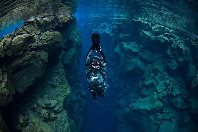 Freedive Silfra Half Day Tour - Price and value: what $233.50 is really buying you