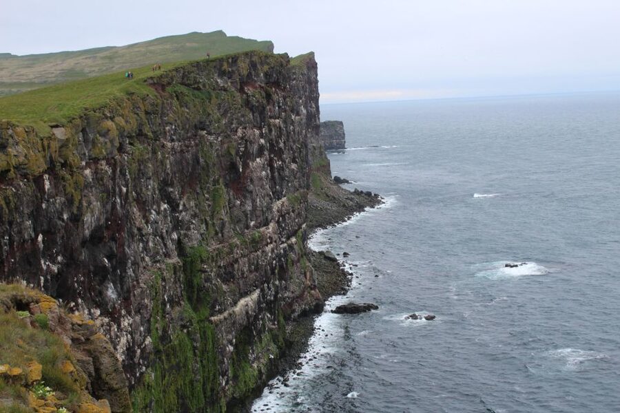 From Reykjavík: 3-Day Tour of the Wild Westfjords - What You’ll Be Dressing, Paying Attention To, and Timing Your Day Around