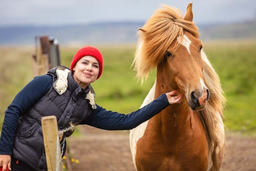 From Reykjavík: Best of Iceland 6-Day Stopover Tour - Quick highlights worth planning around