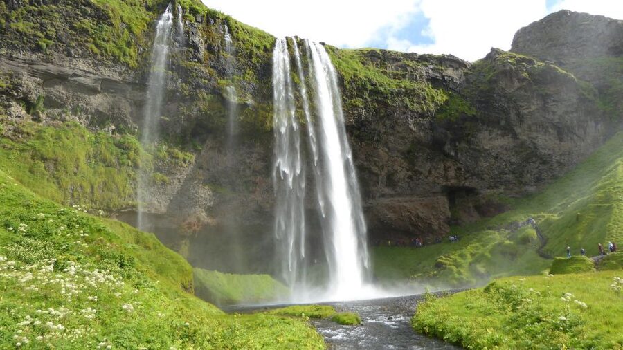 From Reykjavik: Explore the Waterfalls of the South Coast - Thorsteins Grove: the warm-up stop that sets the tone