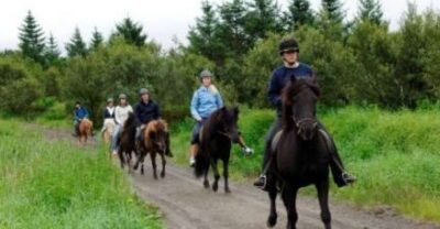 Full-Day Horse Riding & Golden Circle Tour