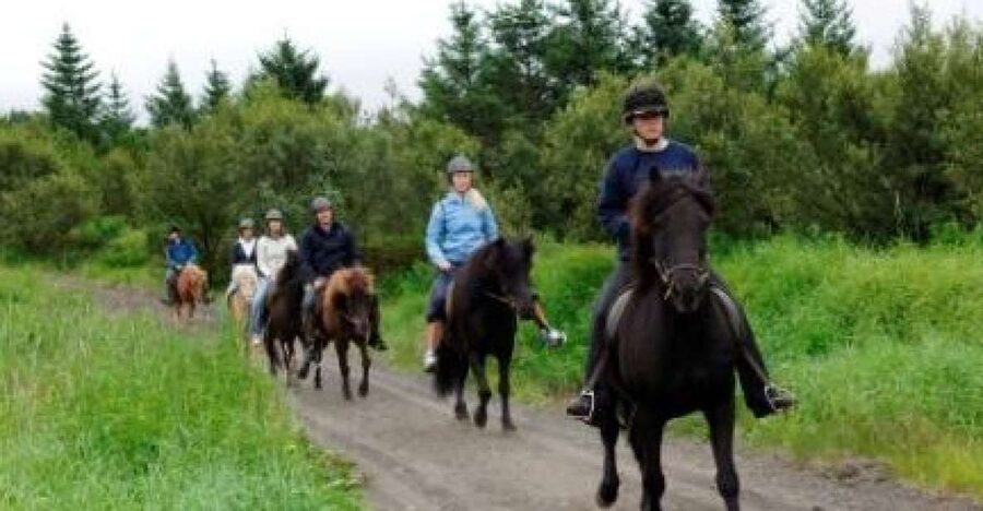 From Reykjavik: Full-Day Horse Riding & Golden Circle Tour - How the day flows: pickup, ride, lunch, then Golden Circle time