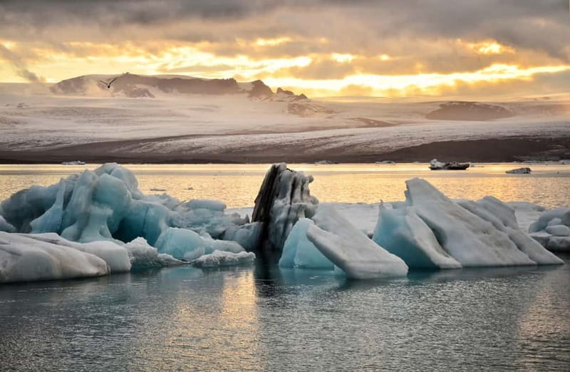 From Reykjavik: Glacier Lagoon and Fjaðrárgjúfur Canyon Tour - Key things that make this tour work