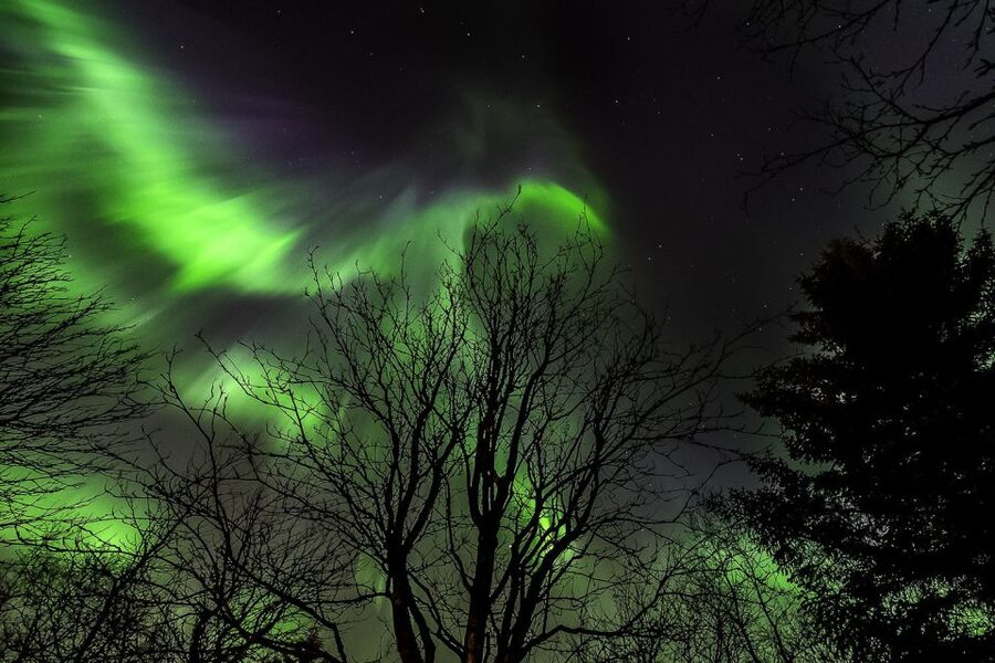 From Reykjavik: Golden Circle and Northern Lights Tour - Who This Tour Fits Best (And Who Might Want Separate Tours)