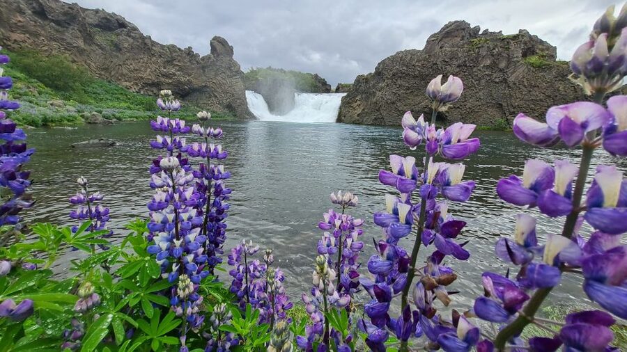 From Reykjavik: Highlands Jeep Tour & Landmannalaugar Hike - Why this jeep-and-geologist day trip feels different