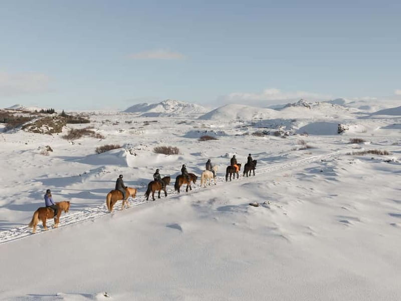 From Reykjavík: Icelandic Horse Riding Tour in Lava Fields - Key things to know before you go