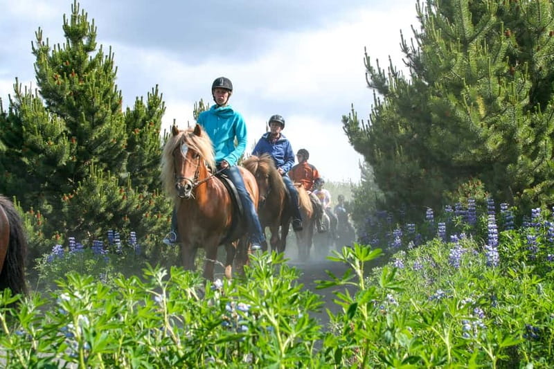 From Reykjavík: Icelandic Horse Riding Tour in Lava Fields - The ride itself: tölt, lava rock, and a pace for your comfort level