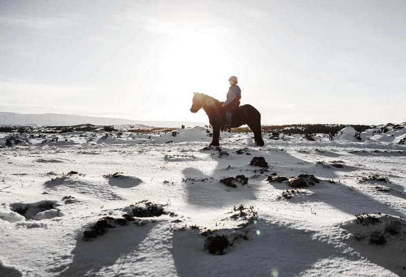 From Reykjavík: Icelandic Horse Riding Tour in Lava Fields - Gear rules in Iceland: the parts that can trip you up