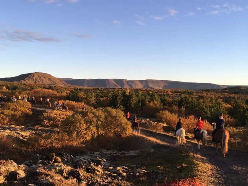 From Reykjavík: Icelandic Horse Riding Tour in Lava Fields - Timing and logistics: why this fits a Reykjavík day