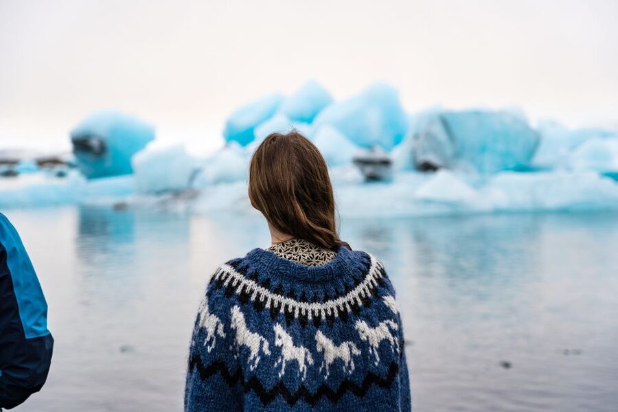 From Reykjavik: Jökulsárlón Glacier Lagoon and Diamond Beach - Seljalandsfoss: The Waterfall You Can Walk Behind
