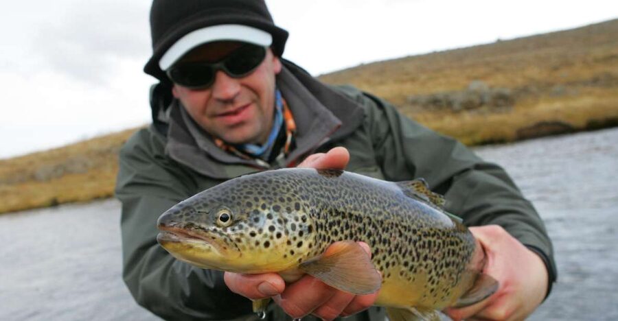 From Reykjavik: Lake and River Fishing Tour - Key highlights you should know before you go